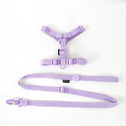 Purple Set / S