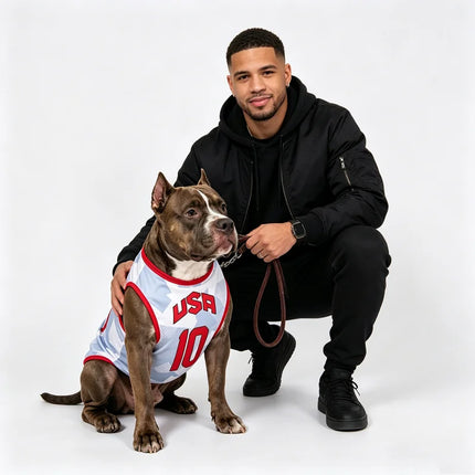 Sport Team Dog Vest Mesh Fabric Thin Style Cool Breathig Dog Vests Teddy Pug Golden Retriever Shiba Clothing Cat Dog Pet Clothes