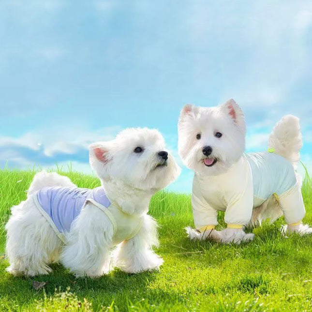 Dog Cooling Clothes Vest UV Sun Protection Breathable Mesh Jacket, Small Medium Dogs, Summer Wear Outdoor Cooling Suits
