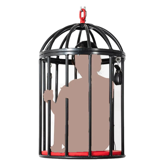 Large Sex Love Cage BDSM Training Hanging Birdcage Restraint Tools Sex Toys for Women Men Adult Games Couples 18+ Sextoy