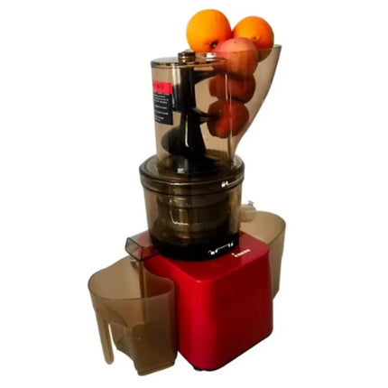 Stainless Steel Fruit Vegetable Juicer Commercial Cold Press Squeezer Extractor Machine Slow Juicer