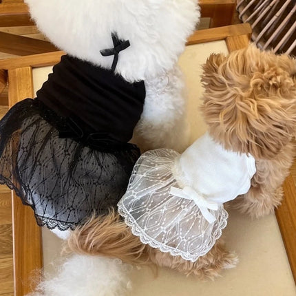 Lace Dog Skirts Pet Dresses Princess Dress Summer Fashion Dog Dresses Teddy Black Dog Vest Cat Dress Chihuahua Pet Clothing
