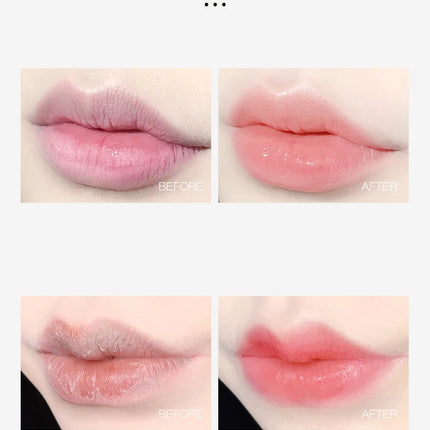 New 4/6/8pcs Moisturizing Lip Balm Sets Lipstick Makeup Natural Plant Base Moisturizer Lip Balm Anti-Cracking Lips Skin Care