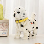 Dalmatian