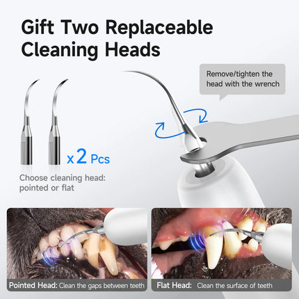 CURVY MOON T5 Pet Use Ultrasonic Tartar Eliminator Tooth Cleaner Dog Cat Dental Scaler Teeth Cleaning Tool for Pet Teeth Health