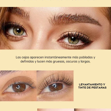 Gollee Classic Black Natural Eyelash Lifting Perm Treatment Makeup Set Lash and Brow Tinting Kit Easy For Beginner at Home