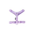 Purple Harnesses / S