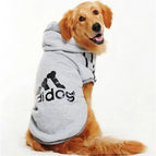 GRAY / 4XL(10-14KG dogs)