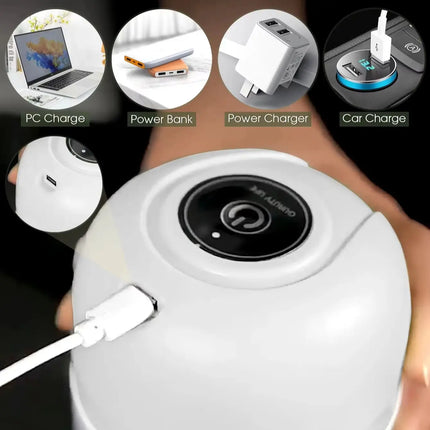 250ML electric meat grinder, garlic chopper, rotary garlic press, vegetable onion cutting machine, kitchen cooking accessories