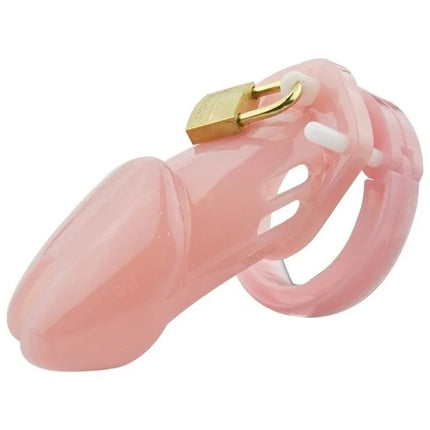 2 Size Male Chastity Cage Device Small/Standard Cock Cage with Rings Erotics Urethral Brass Lock Locking Sex Toys for Men Adults