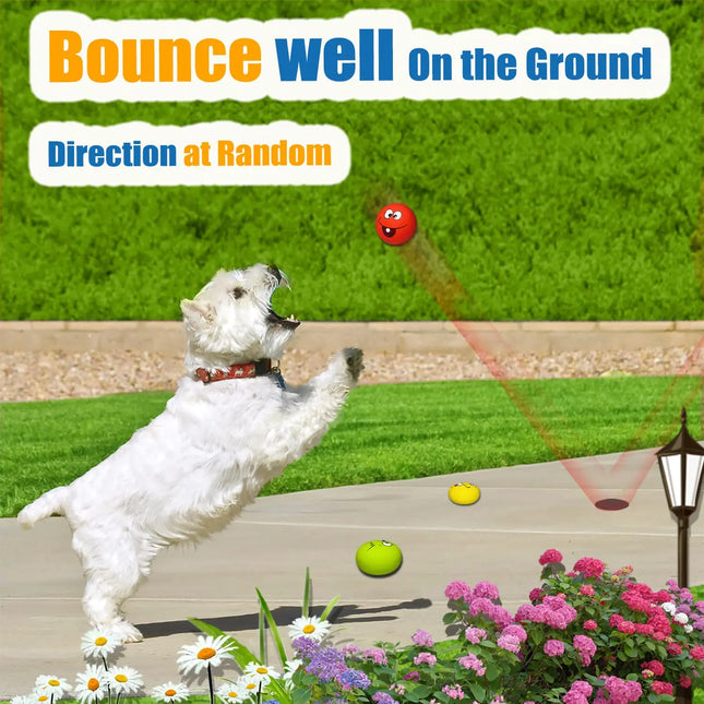 Rubber Dog Puppy Pet Play Squeaky Ball Chewing Toys with Face Fetch Bright Balls Pet Dog Supplies Popular Puppy Toys