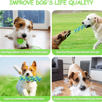 Spring Pole Dog Rope Toys, Dog Interactive Tether Tug of War Toy, Indoor/Outdoor Bungee Hanging Dogs Toy