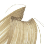 P18A-613 / 20inch 50cm 60G / 3 months