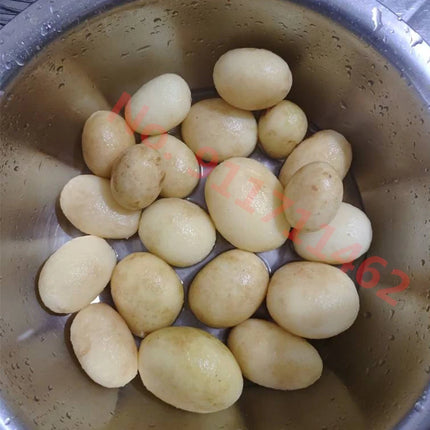 110V/220V Small Electric Potato Peeler Home Automatic Potato Peeling Machine Vegetables Salad Rotating Dehydrator