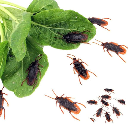 10pcs Simulation Bug Funny Toys Cockroach Spider Centipede Scorpion Plastic Children Prank Bug Scary Trick Props for Kids TMZ