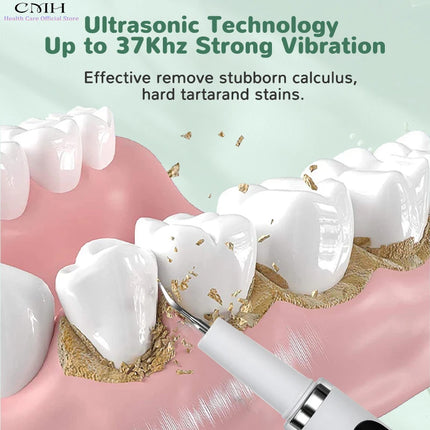 Electric Tooth Cleaning Device Pet Tartar remover Stain Remover Multi-Mode Dental Care Tool with 2 Replaceable Cleaning Heads