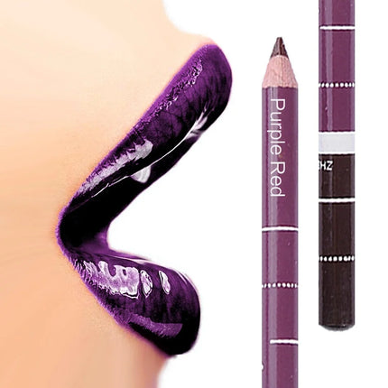 New 2025 Hot Sale New 12 Color 1Set Professional Metal Makeup Pencil Lipstick Suitable Women's Makeup Matching Lipstick Supplies