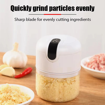 Garlic mashing machine food supplement machine household garlic cutter garlic crusher garlic pulling and pressing machine electr