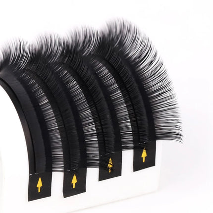 Lashprofessor 16Rows Individual De Cils Lash Trays 5-20mm Silk Classic Lashes Professional Salon Use Cashmere Eyelash Extensions