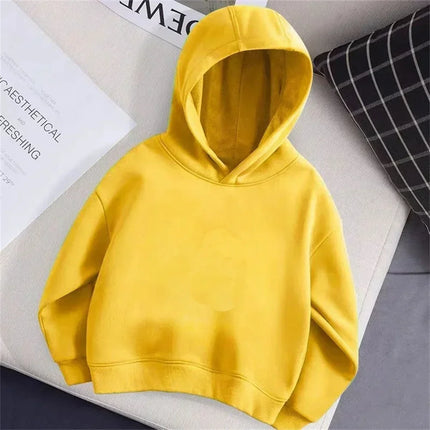 Boys and girls children's hoodies, children's autumn and winter casual fashion sports hoodies