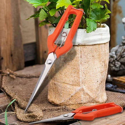 Pruning Shears Grape Scissors Garden Tool Vegetable Patch Bonsai Professional  Stainless Steel Fruit Picking With Lock New