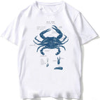 BJ3870-24-white / XS