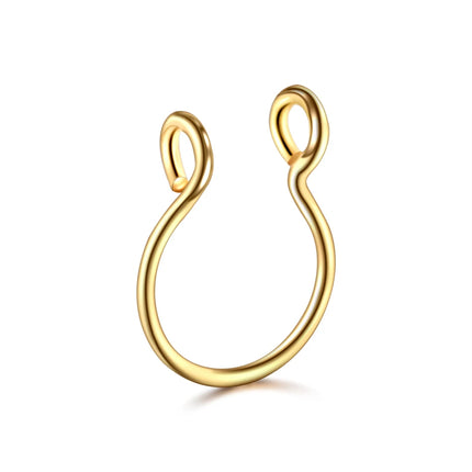 5pcs Stainless Steel Magnet Fake Nose Ring Hoop Fake Piercing Hoop Septum Rings For Women Fashion Gothic Rock Body Jewelry Gifts