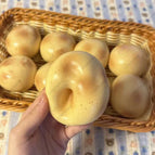 Potato