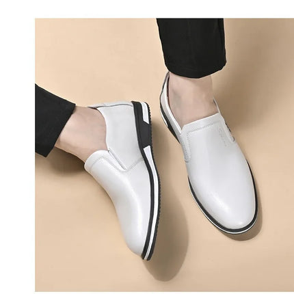 Luxury Men's Leather Shoes Comfortable Loafers Slip on Male Moccasins Non Slip Driving Shoes High Quality Men Shoes Plus Size