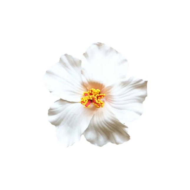 Foam Flower Hair Clips Hawaiian Plumeria Hibiscus Flower Barrettes Bridal Hairpins Colorful Rose Hairpin Jewelry Summer Beach