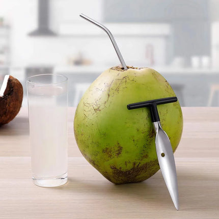 2pcs Coconut Opener Tool Stainless Steel Coco Nut Bottle Opener Safe and Convenient Coco Drill Punch Tool