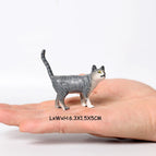 Mini Cat -33