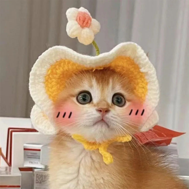 Knitted Cute Soft Cat Hat Halloween Christmas Party Costume Head Wear Accessories for Puppy Pet Kitten Little Dogs Small Animals