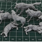 Wolf No.2