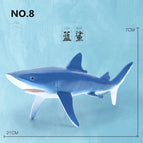 Blue Shark