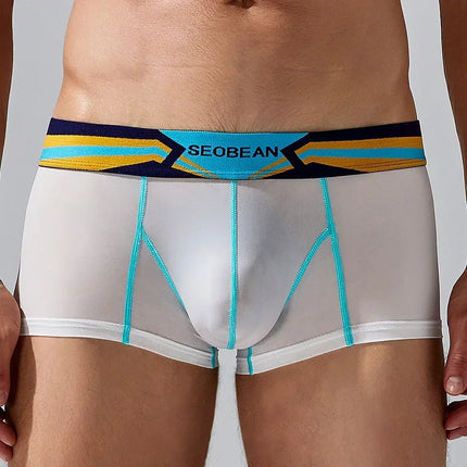 SEOBEAN Men's Sheer Boxer Briefs Nylon Low-Rise Underwear Lightweight Breathable Fashion Stylish Thin See-Through 230215 412114
