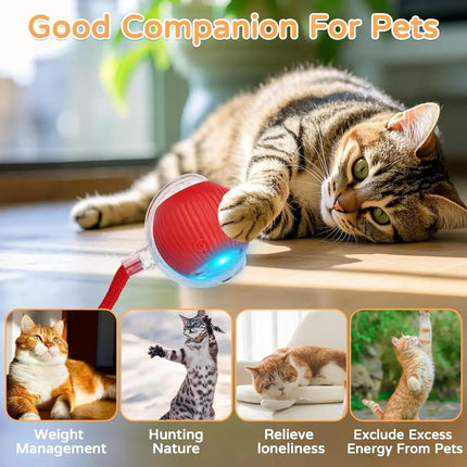 Cat Interactive Ball Toy Automatic Rolling Ball Faux Tail Rechargeable Smart Pet Electric Toy Dog Cat Training Imitate Mouse