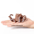 octopus-4