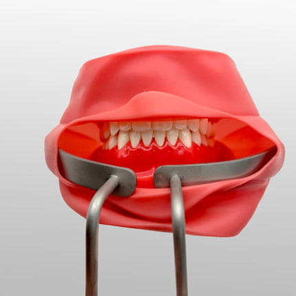 Stainless Steel Dental Mouth Expander Lip Cheek Retractor with Flap for Surgical Vestibule Access and Oral Procedures