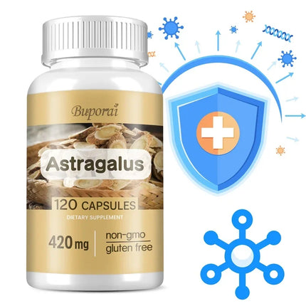 Astragalus - Supports Digestive Health, Promotes Overall Well-being and Relieves Stress Supplement