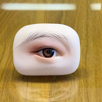 A Pair Three-Dimensional Eyebrow And Eye Module With Eye Practice Skin Simulation Human Soft Silicone Line Eyebrow For Beginners