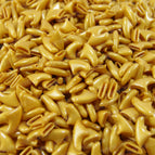 solid gold / XS for 0.5 -2.5kg