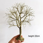 23cm tree trunk