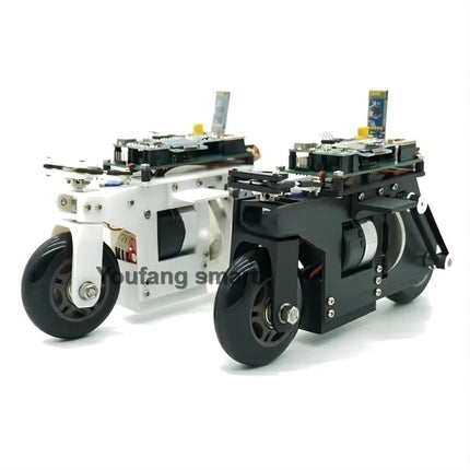 2WD RC Balance Bike Cubli Self-Balancing Flywheel 3D Printing APP Control DC Motor Motorcycle for STM32 Programmable Robot Car