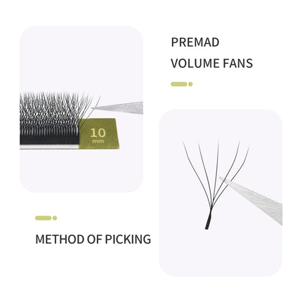 GLAMLASH 4D5D W Style Flower Lash Premade Volume Fans Eyelash Extension Natural Soft Light Lash W Shaped