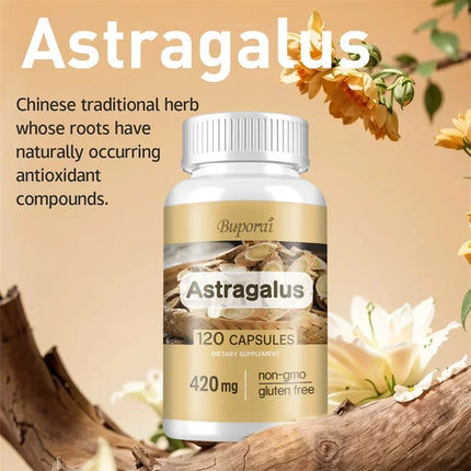 Astragalus - Supports Digestive Health, Promotes Overall Well-being and Relieves Stress Supplement