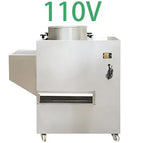 110V