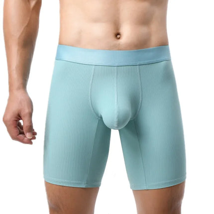 Mens Underwear Boxer Shorts Hombre Soft Nylon Panites Man Breathable U Convex Pouch Extended Underpant Male Trunks Cueca L-XXL