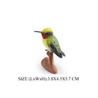 Hummingbird -6