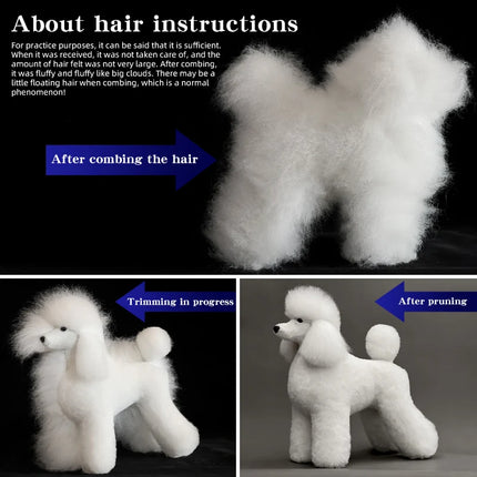 Poodle dog pet professional beauty simulation wig model practice special skeleton environmentally friendly PE material